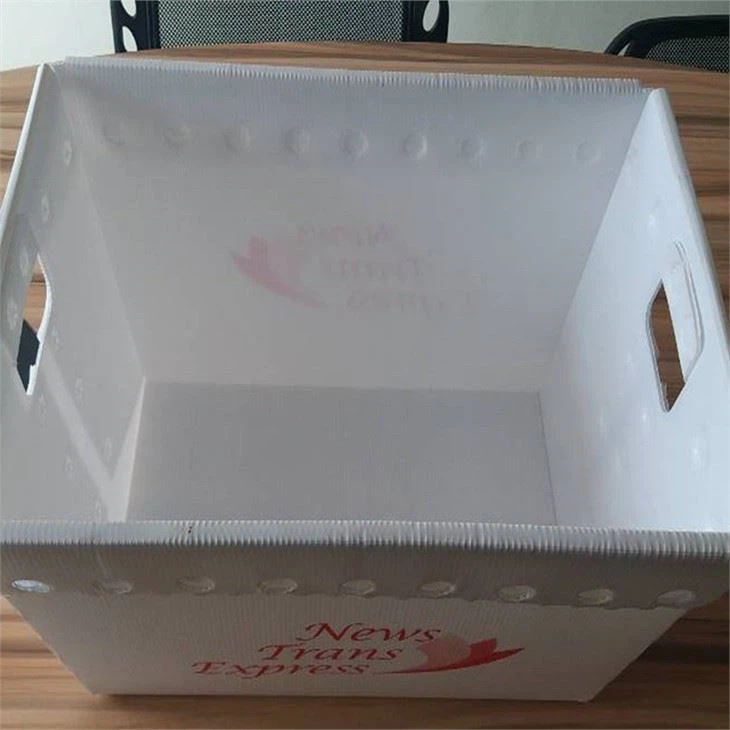 Customized mail tray