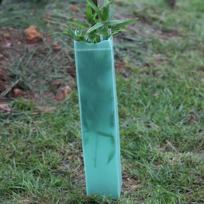 Custom Plastic Tree Guard Plants Protector