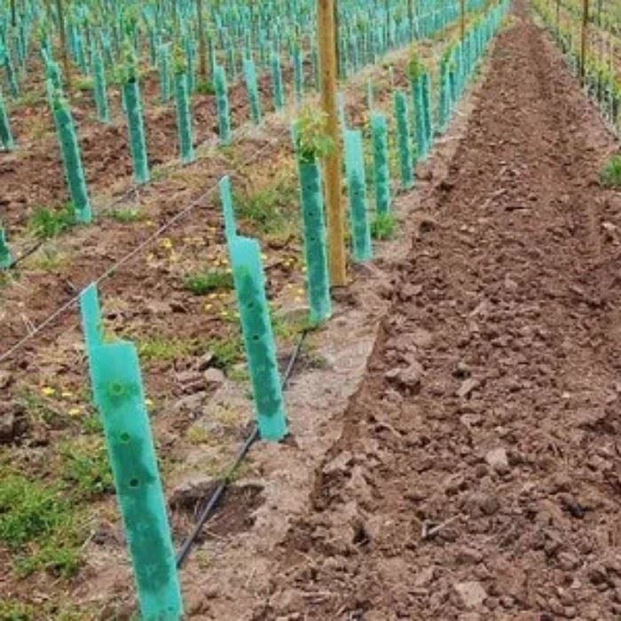 Plastic Tree Plant Shelters